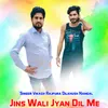 About Jins Wali Jyan Dil Me Song